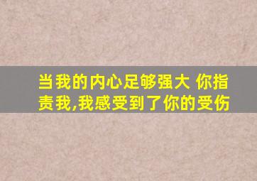 当我的内心足够强大 你指责我,我感受到了你的受伤